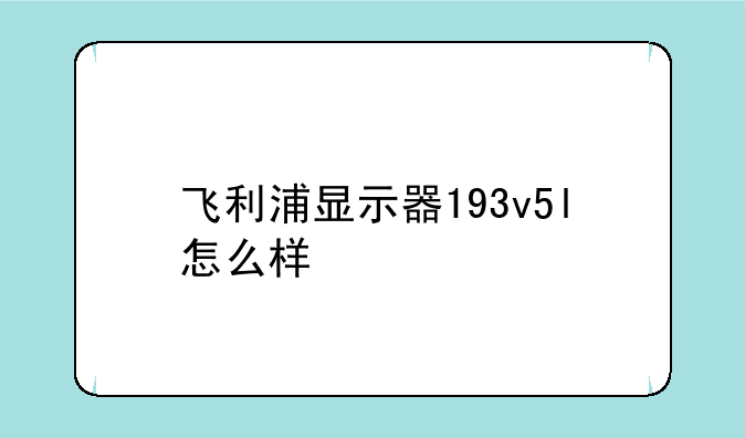 飞利浦显示器193v5l怎么样