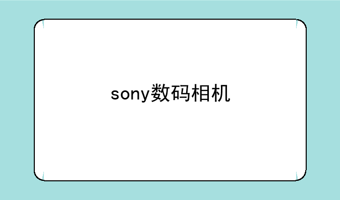 sony数码相机